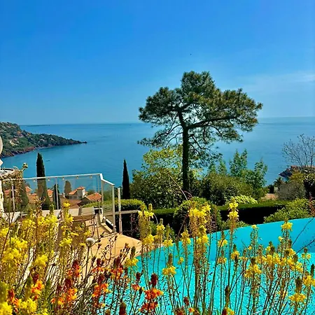 Provençale Vue Mer&piscine Privée Saint-Raphaël